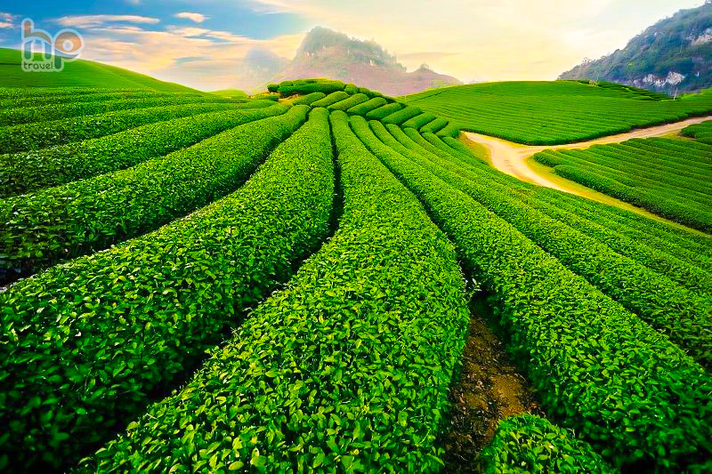 CHƯƠNG TRÌNH DU LỊCH VÙNG HOA ĐÔNG TRUNG QUỐC: THƯỢNG HẢI -  TÔ CHÂU - Ô TRẤN - HÀNG CHÂU
